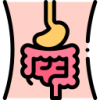 digestive-system