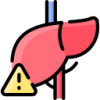 liver